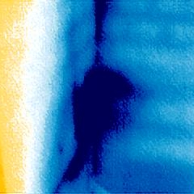 Termografia ricerca infiltrazioni d'acqua nel muro a Parma e provincia.